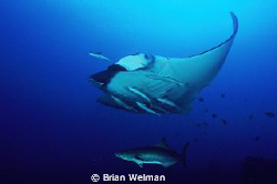 "Graceful"
Fuji Velvia 100 Slide
Manual settings 1/60th... by Brian Welman 